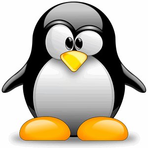 Who Created Linux - Hello everybody, I’m creating a (free) operating system (just for fun). It won’t be big and professional like GNU..."He named it Linux – a blend of his first name, Linus, and the word Unix. The first Linux kernel (version 0.01) was released on September 17, 1991 with only basic functionality. Soon, developers from around the globe began contributing to its growth.